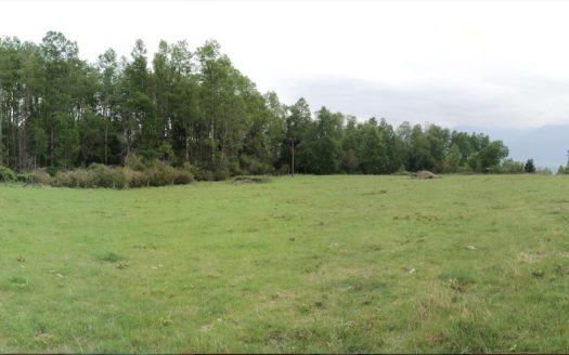 Parcela a minutos del centro de Pucón