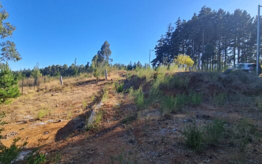 Amplio sitio a minutos de Concepción