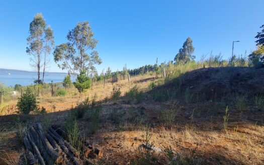 Amplio sitio a minutos de Concepción