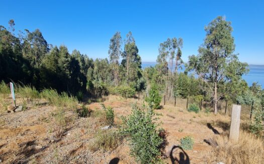 Amplio sitio a minutos de Concepción