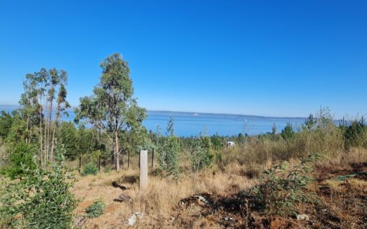 Amplio sitio a minutos de Concepción