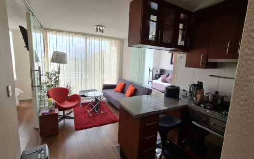 Departamento completamente amoblado en Concepción