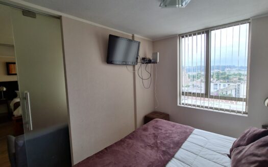Departamento completamente amoblado en Concepción