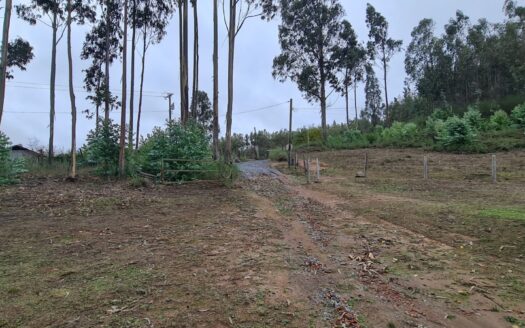 Hermosa parcela a minutos de Concepción