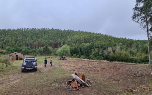 Hermosa parcela a minutos de Concepción