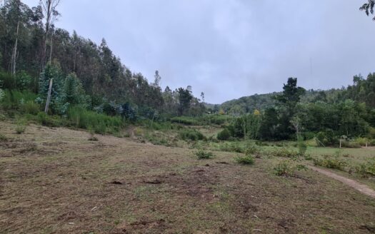 Hermosa parcela a minutos de Concepción