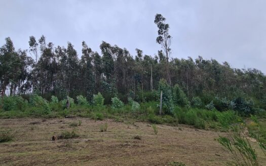 Hermosa parcela a minutos de Concepción