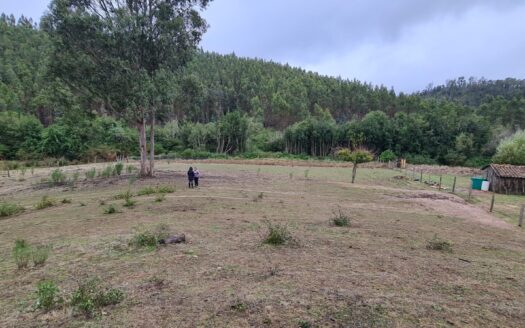 Hermosa parcela a minutos de Concepción