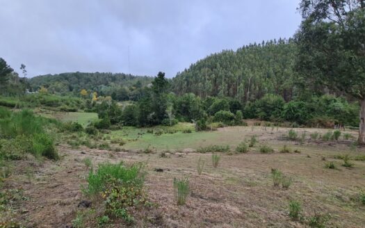 Hermosa parcela a minutos de Concepción