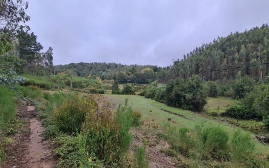 Hermosa parcela a minutos de Concepción