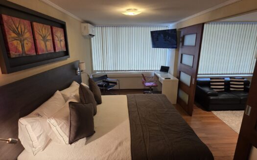 Departamento completamente amoblado en Lomas de San Andrés