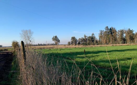 Parcelas dentro de condominio en Parral