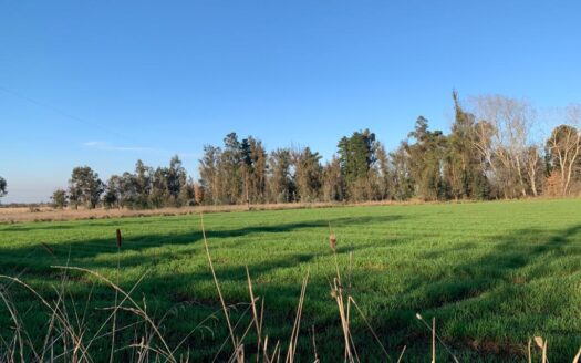 Parcelas dentro de condominio en Parral