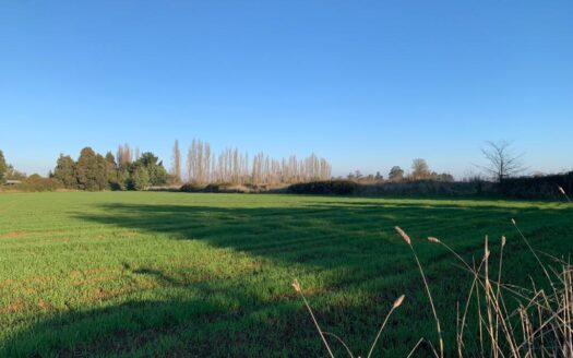 Parcelas dentro de condominio en Parral