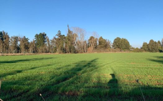 Parcelas dentro de condominio en Parral