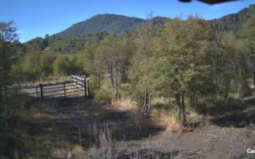 Hermosa Parcela a minutos del Centro Invernal Corralco