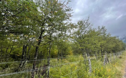 Hermosa Parcela a minutos del Centro Invernal Corralco