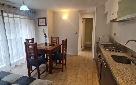 En venta céntrico departamento en Concepción