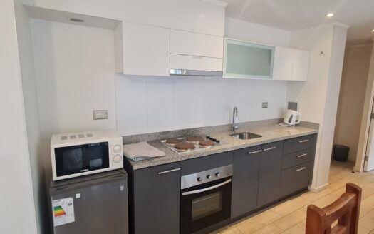 En venta céntrico departamento en Concepción