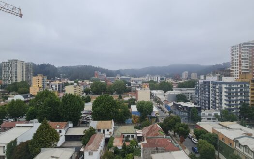 En venta céntrico departamento en Concepción