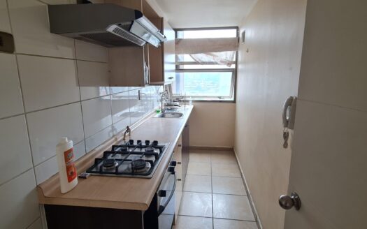 Céntrico departamento en Concepción