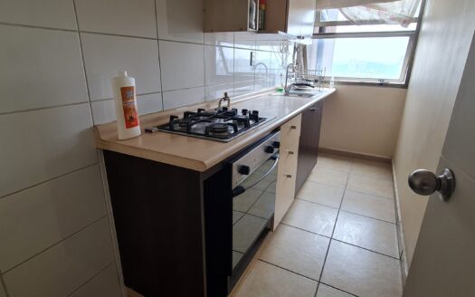 Céntrico departamento en Concepción