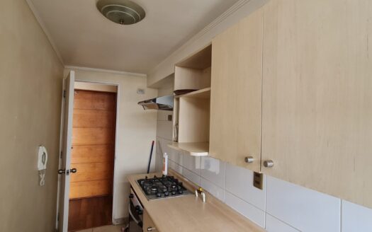 Céntrico departamento en Concepción