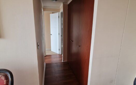 Céntrico departamento en Concepción