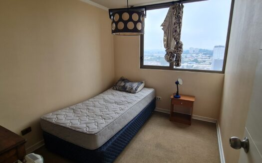 Céntrico departamento en Concepción