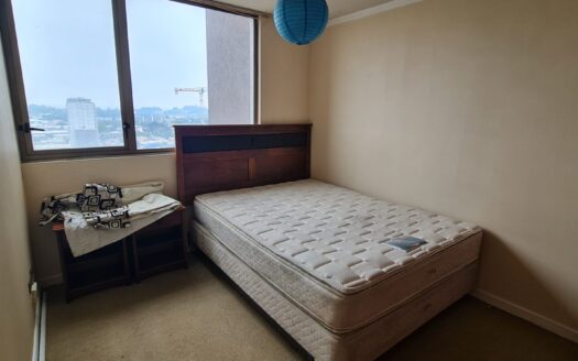 Céntrico departamento en Concepción