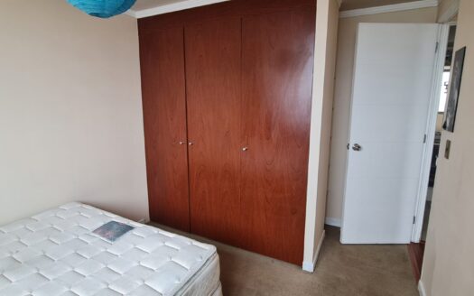 Céntrico departamento en Concepción