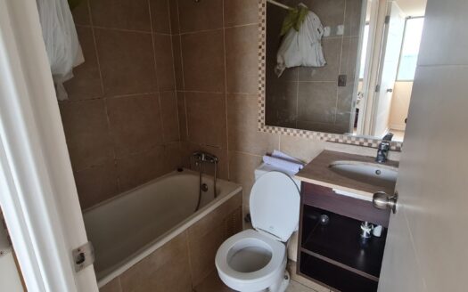 Céntrico departamento en Concepción