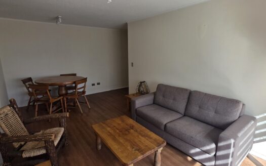 Se arrienda departamento amoblado en Concepción