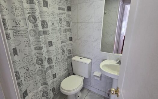 Se arrienda departamento amoblado en Concepción