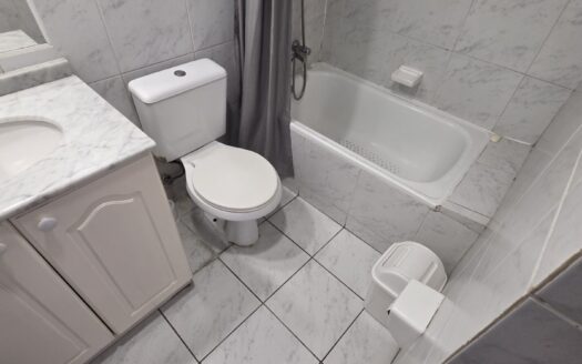 Se arrienda departamento amoblado en Concepción