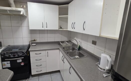 Se arrienda departamento amoblado en Concepción