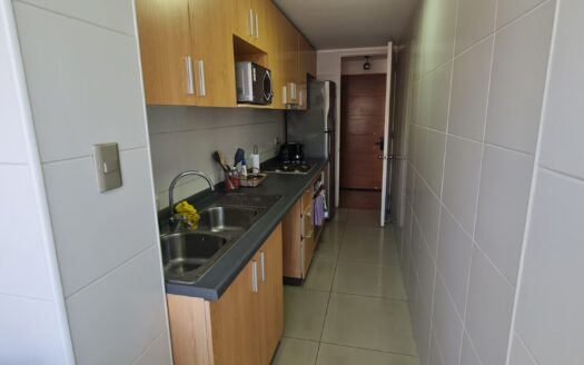 Departamento amoblado en Parque Urbano