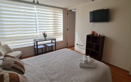 Departamento amoblado en Parque Urbano