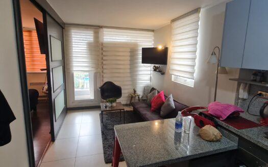 Se vende departamento amoblado en Concepción