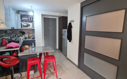 Se vende departamento amoblado en Concepción