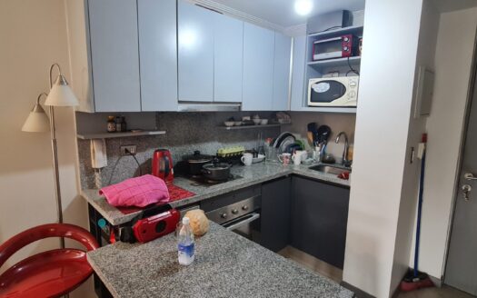 Se vende departamento amoblado en Concepción