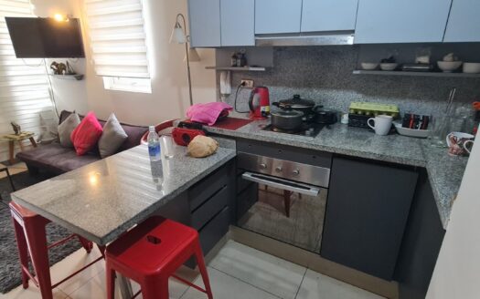 Se vende departamento amoblado en Concepción