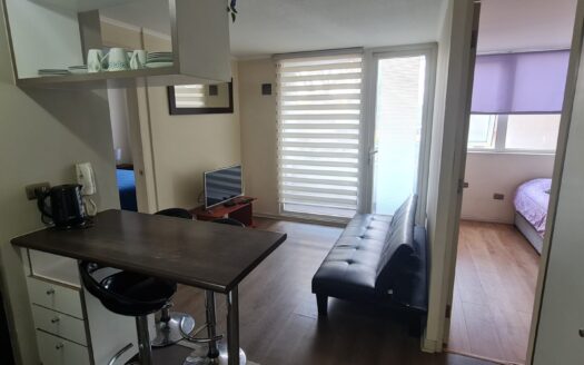 Acogedor departamento en Concepción