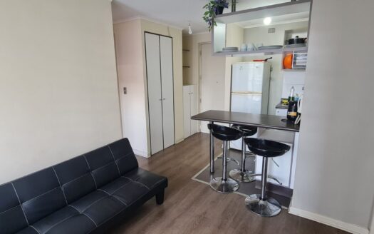 Acogedor departamento en Concepción