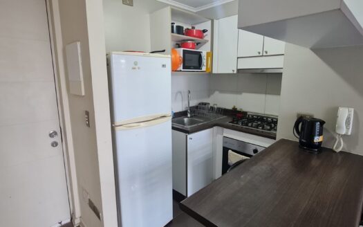 Acogedor departamento en Concepción