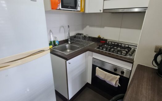 Acogedor departamento en Concepción