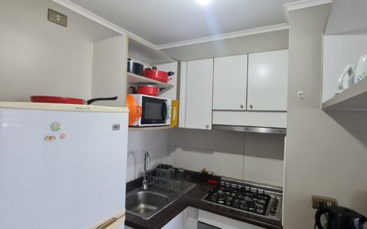 Acogedor departamento en Concepción