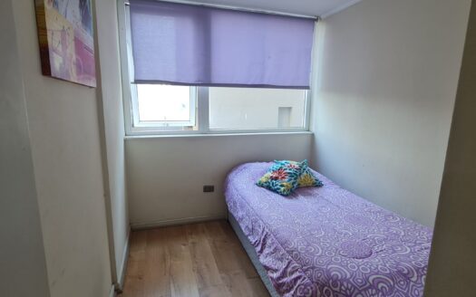 Acogedor departamento en Concepción