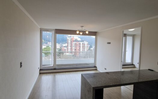 Moderno departamento en Concepción