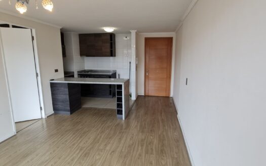 Moderno departamento en Concepción